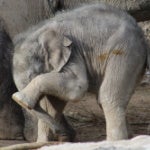 Wie wir den „disagio“ überwinden.