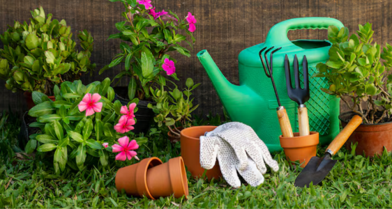 (Source: Freepik) giardino