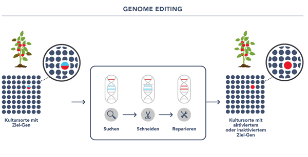 Genome editing