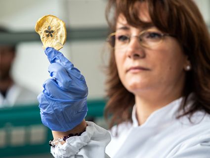 Mit der neuen DIC-Pilotanlage des Versuchszentrums Laimburg kann Trockenobst und Gemüse mit besonderen Textureigenschaften hergestellt werden. ©Versuchszentrum Laimburg/ivocorrà