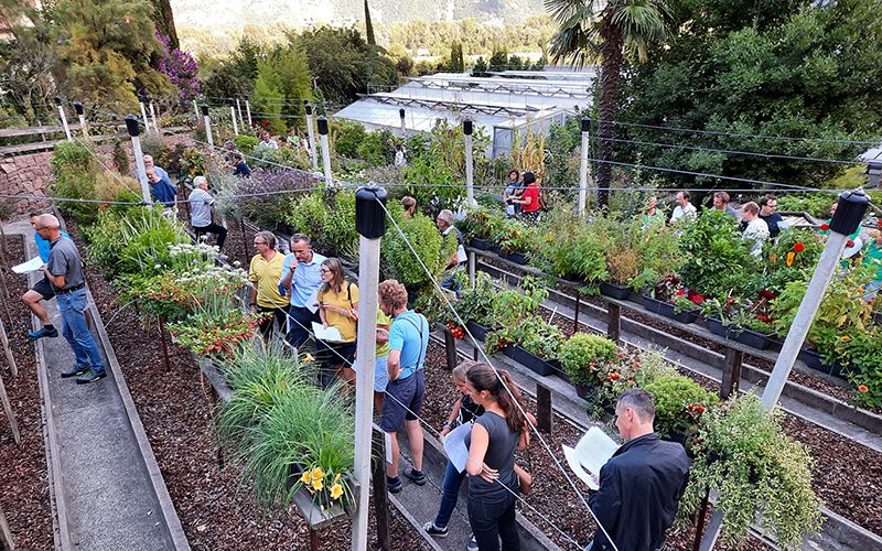 Visitatrici e visitatori alla Giornata delle porte aperte della Giardineria Laimburg (agosto 2021) © Centro di Sperimentazione Laimburg