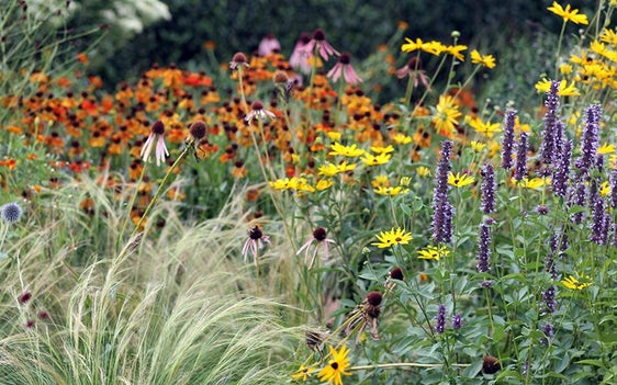 Urbane Grünflächen sind wertvolle Elemente. © Versuchszentrum Laimburg