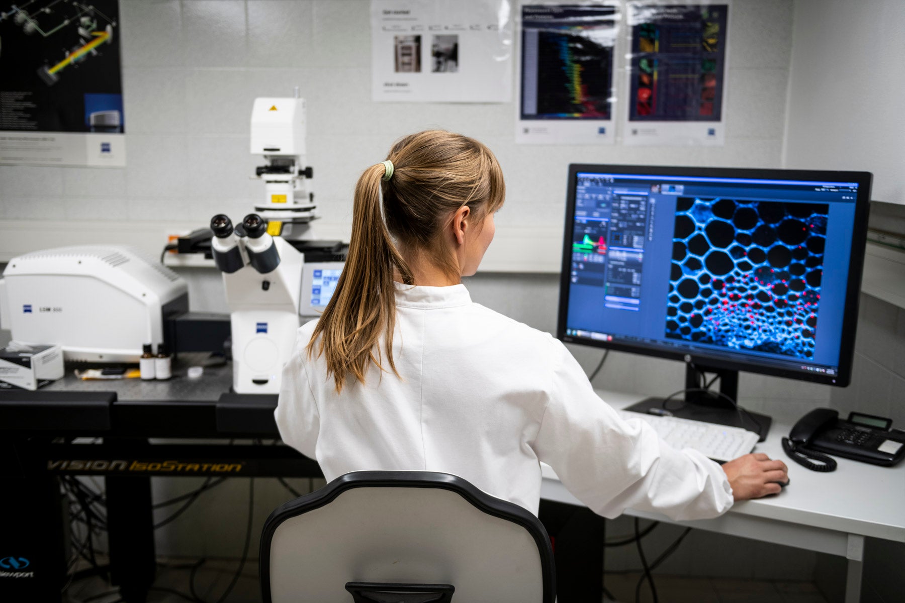 Laboratory Molecular Biology and Microbiology