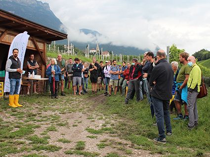 Mehr als 70 Interessierte informierten sich in der Versuchsanlage Plantaditsch, Kaltern, über die aktuellen Weinbauversuche des Versuchszentrums Laimburg. ©Versuchszentrum Laimburg/FMHack