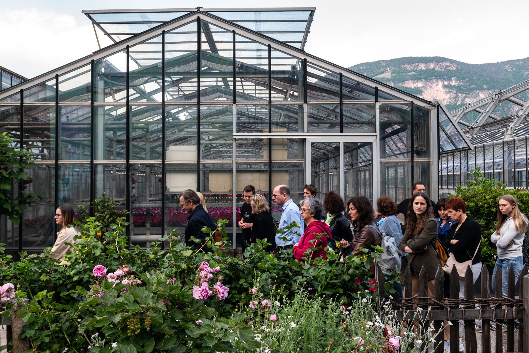 Abb. 1: Der Tag der offenen Tür Gartenbau des Versuchszentrums Laimburg findet am Samstag, den 30. Mai statt. 
© Laimburg Research Centre/ivo corrà
