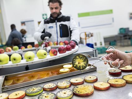 Bei der Lagerungstagung 2021 werden Neuheiten aus dem Bereich der Obstlagerung vorgestellt. ©Versuchszentrum Laimburg