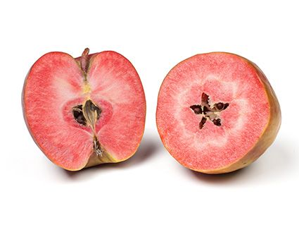 Eine der in der Studie untersuchten rotfleischigen Apfelsorten. ©Versuchszentrum Laimburg