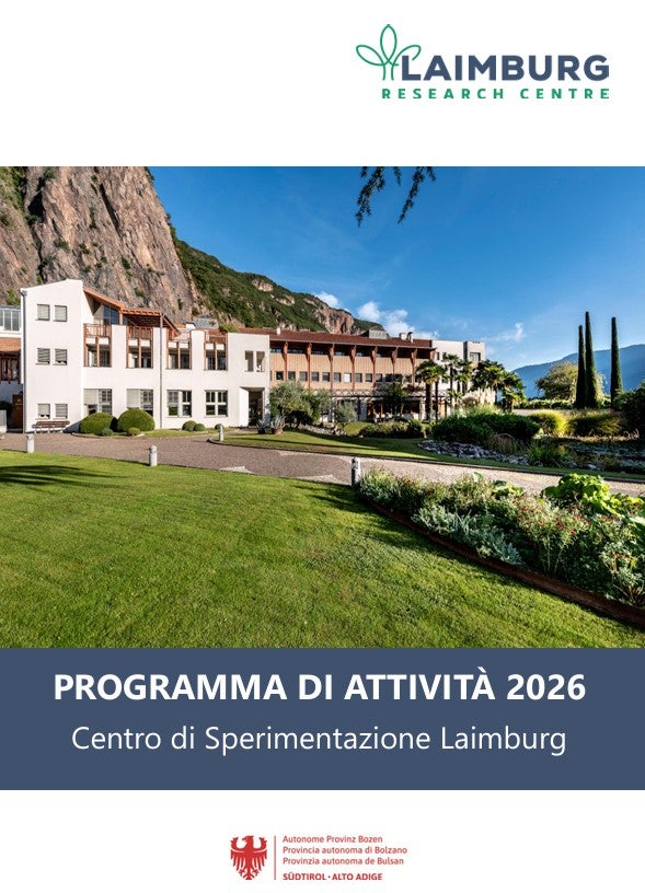 Programme of Activities