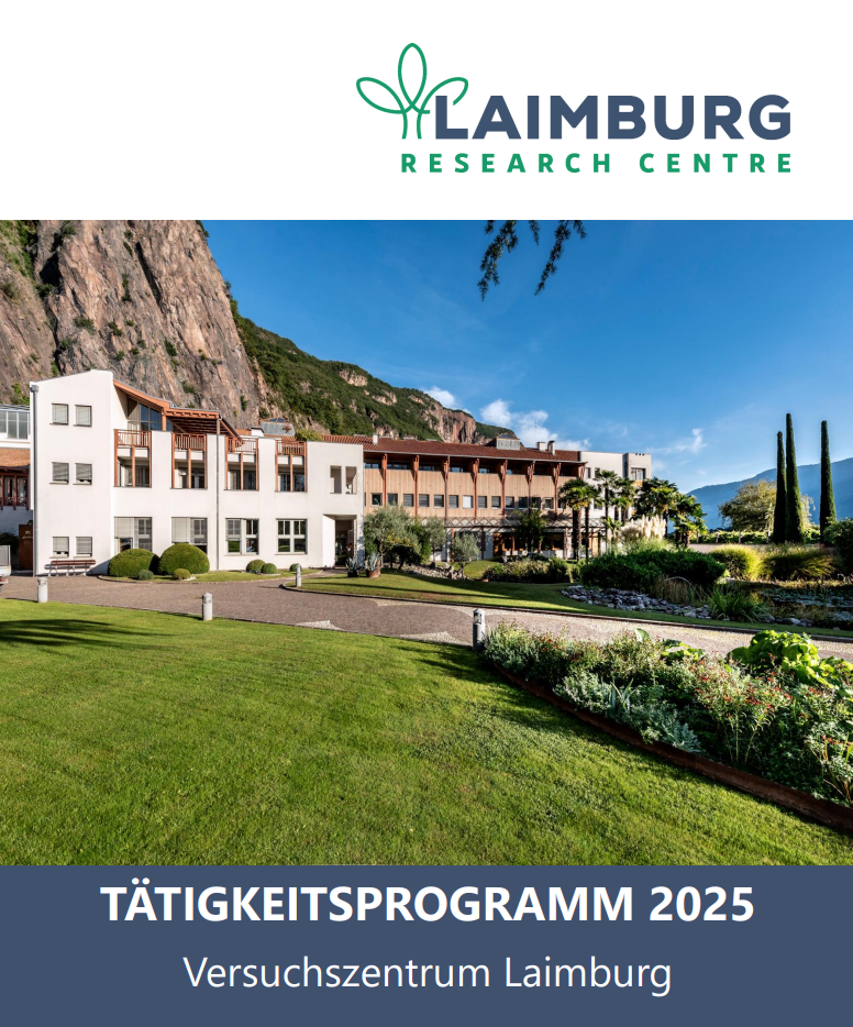 Programme of Activities