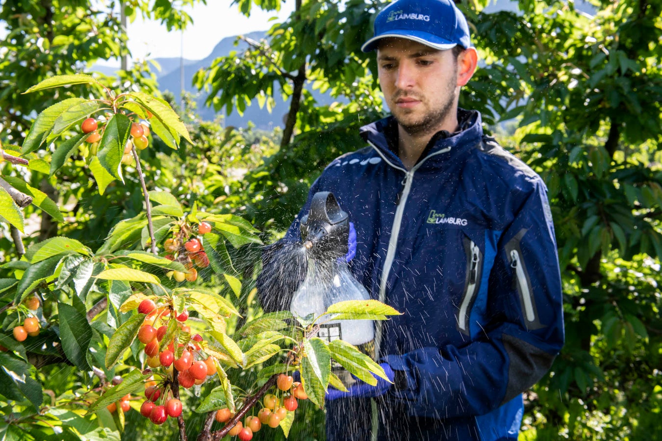 Working group Testing Plan Protection Products