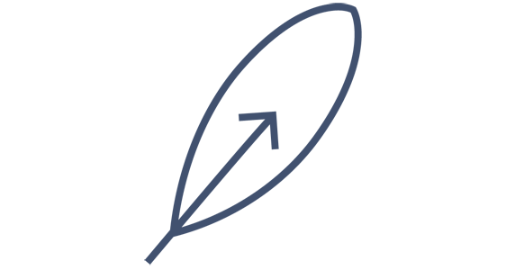 SPIRITO&nbsp;PIONIERISTICO&nbsp;