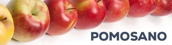 [Externer Link] Pomosano