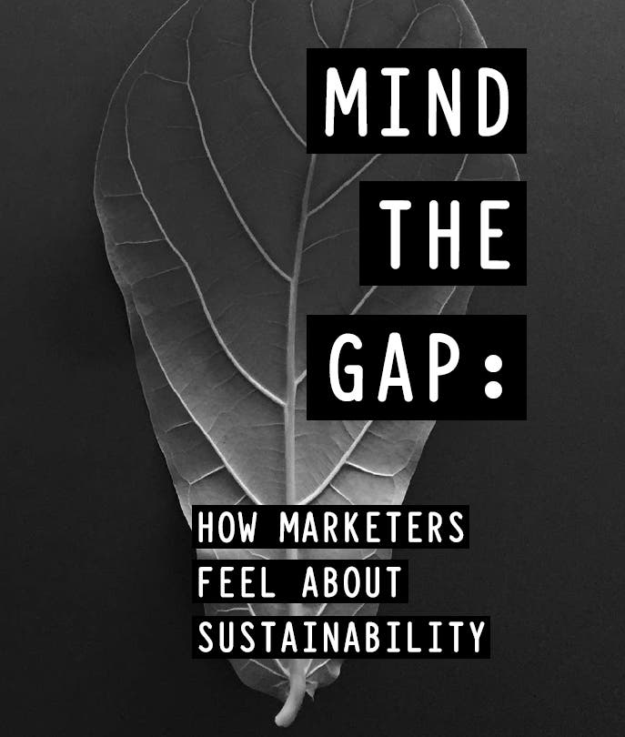 Article card header image