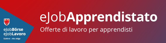 [external Link]: eJobApprendistato - Offerte di lavoro per apprendisti