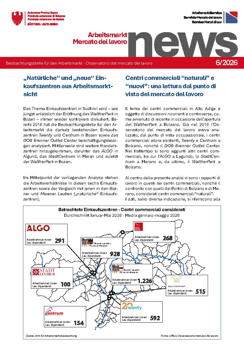 N. 6/2026 - Centri commerciali naturali" e "nuovi": una lettura dal punto di vista del mercato del lavoro