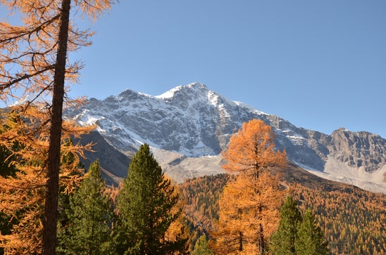 Blick auf Ortler im Herbst