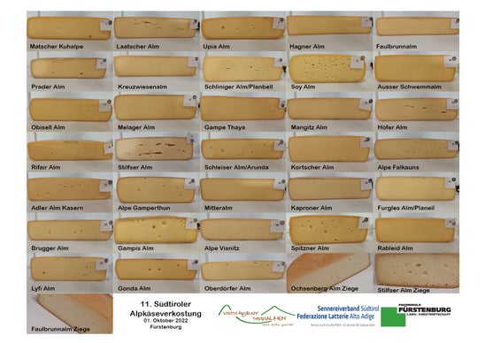 Die verschiedenen Teilnehmer