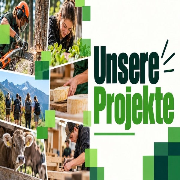 Unsere Projekte
