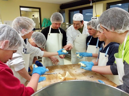 Schüler zeigen Schülern die Kunst der Käseherstellung