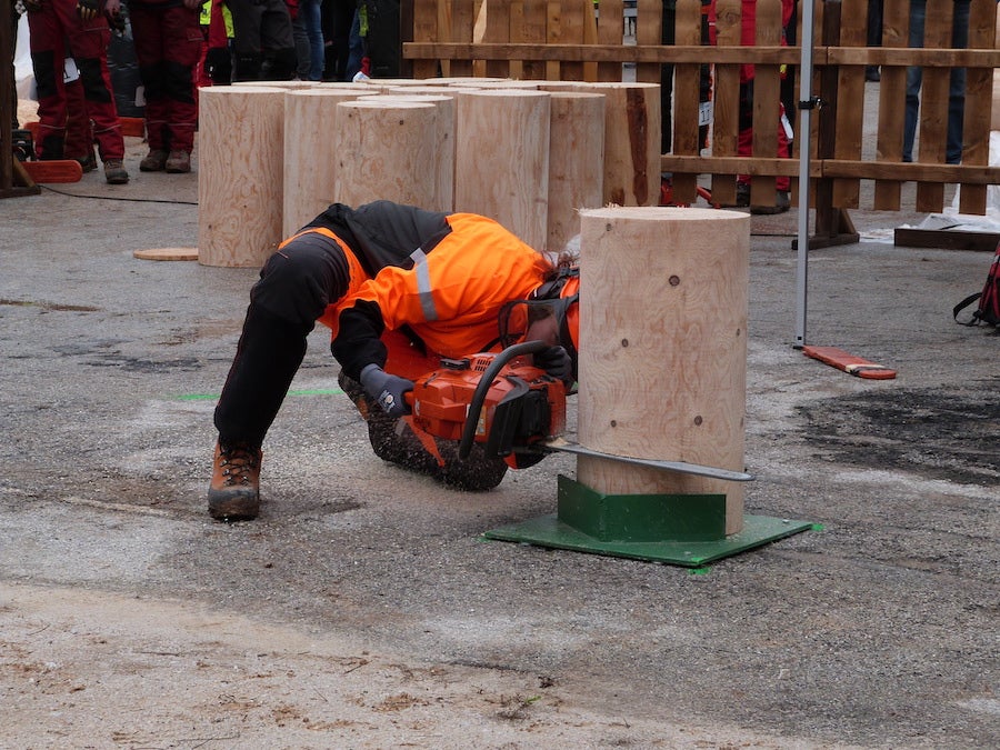 Schüler beim Fällschnitt