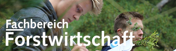 Junge beim Sträuchererkennen