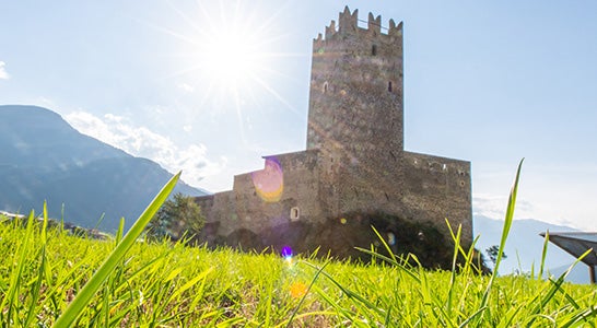 Partnerschaften für und mit den Bienen schließen