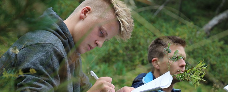 Junge mit Lehrer im Wald beim Sträucher benennen.