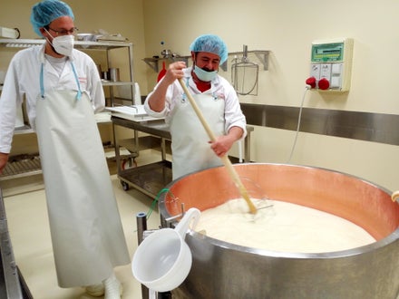 Aus Milch wird Käse.