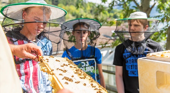 Praxisfach Bienenkunde / Imkerei