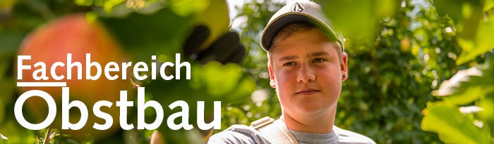 Junge bei der Apfelernte