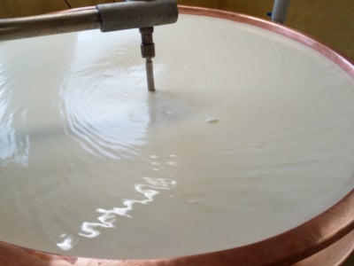 Milch wird geruehrt.