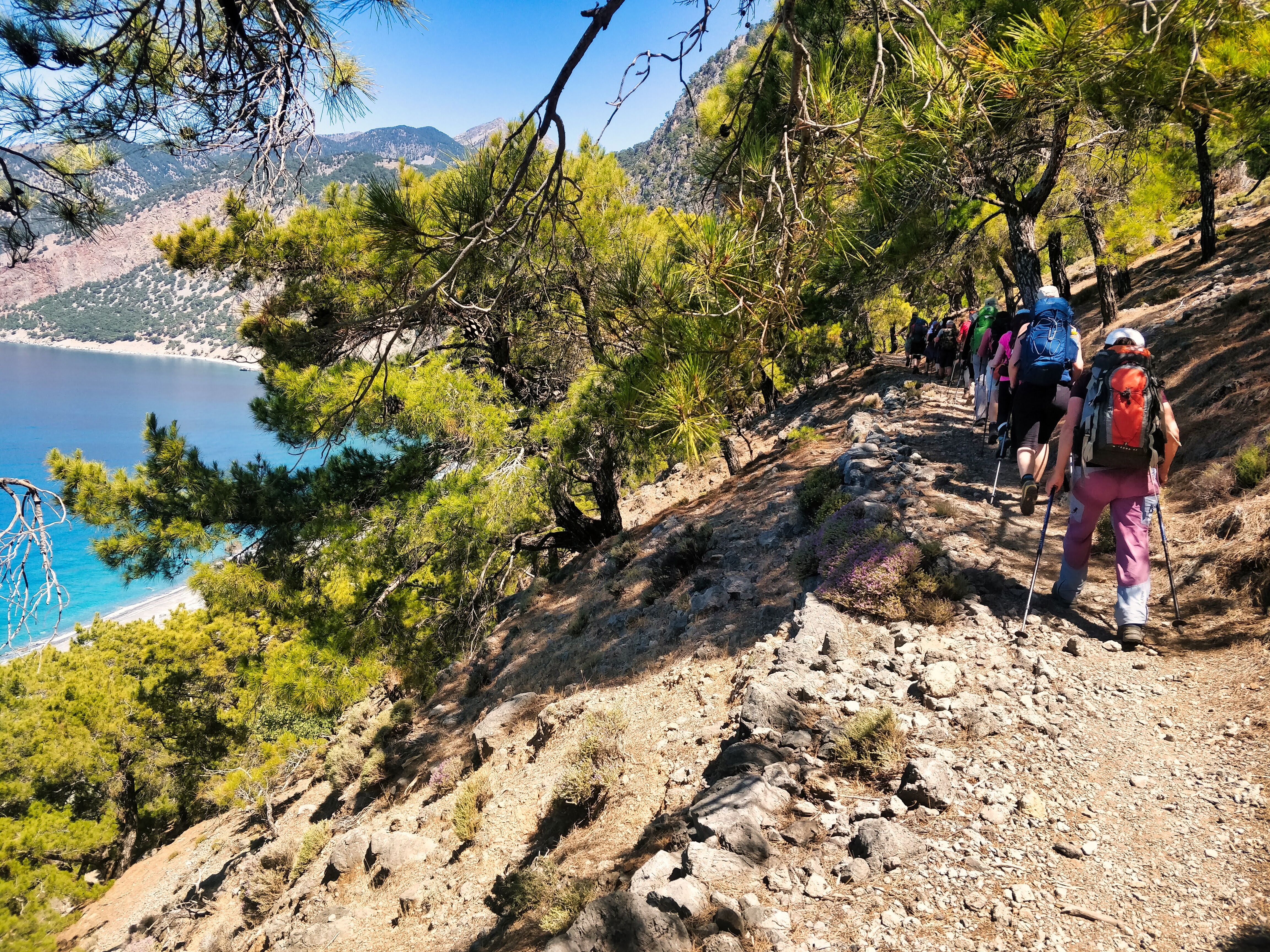 A group hiking along a hilltop with views of the sea