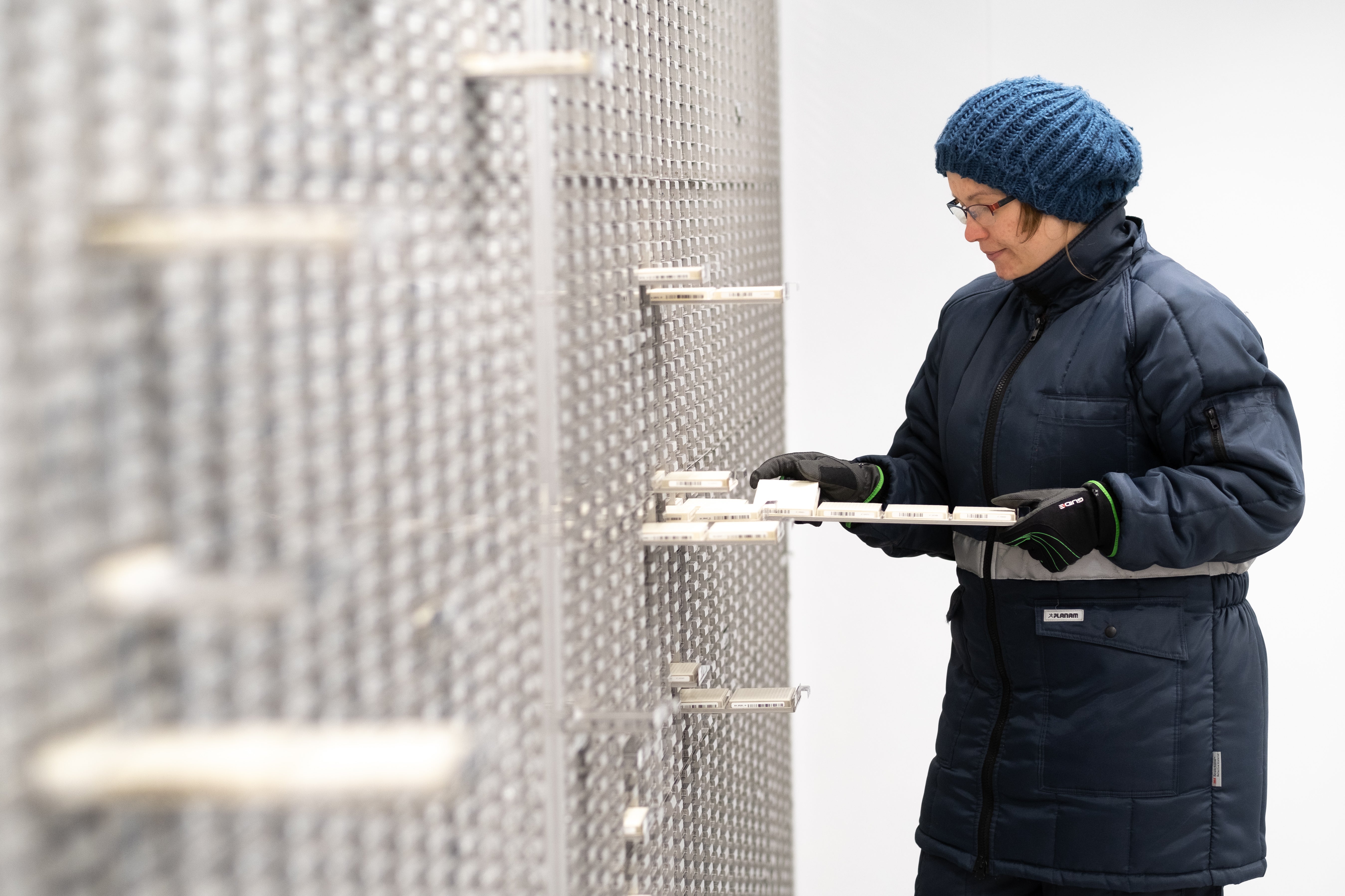 Stem cells are beeing stored and saved