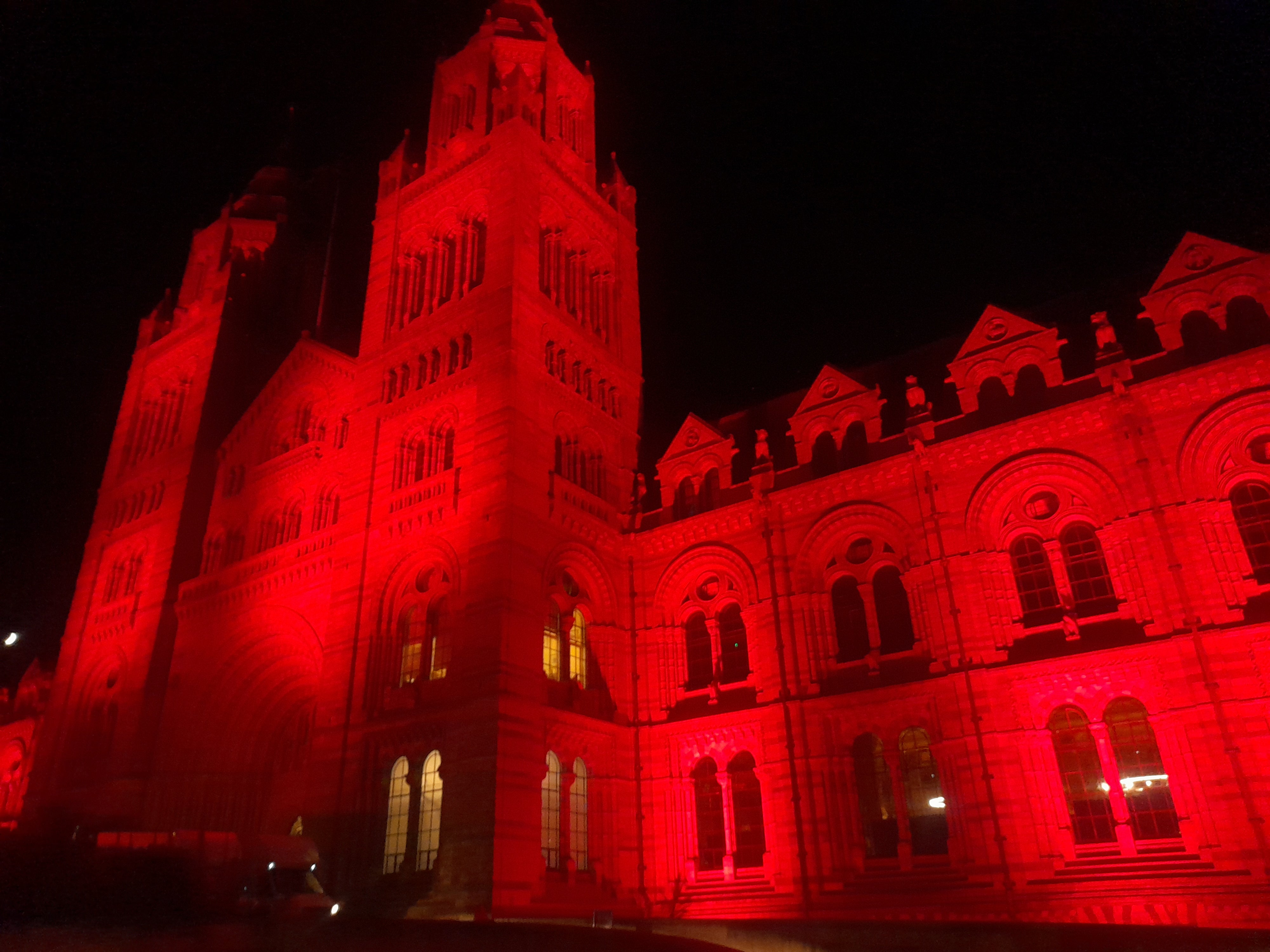 Natural History Museum, London lit red marking World Blood Cancer Day and the DKMS Gala 2023