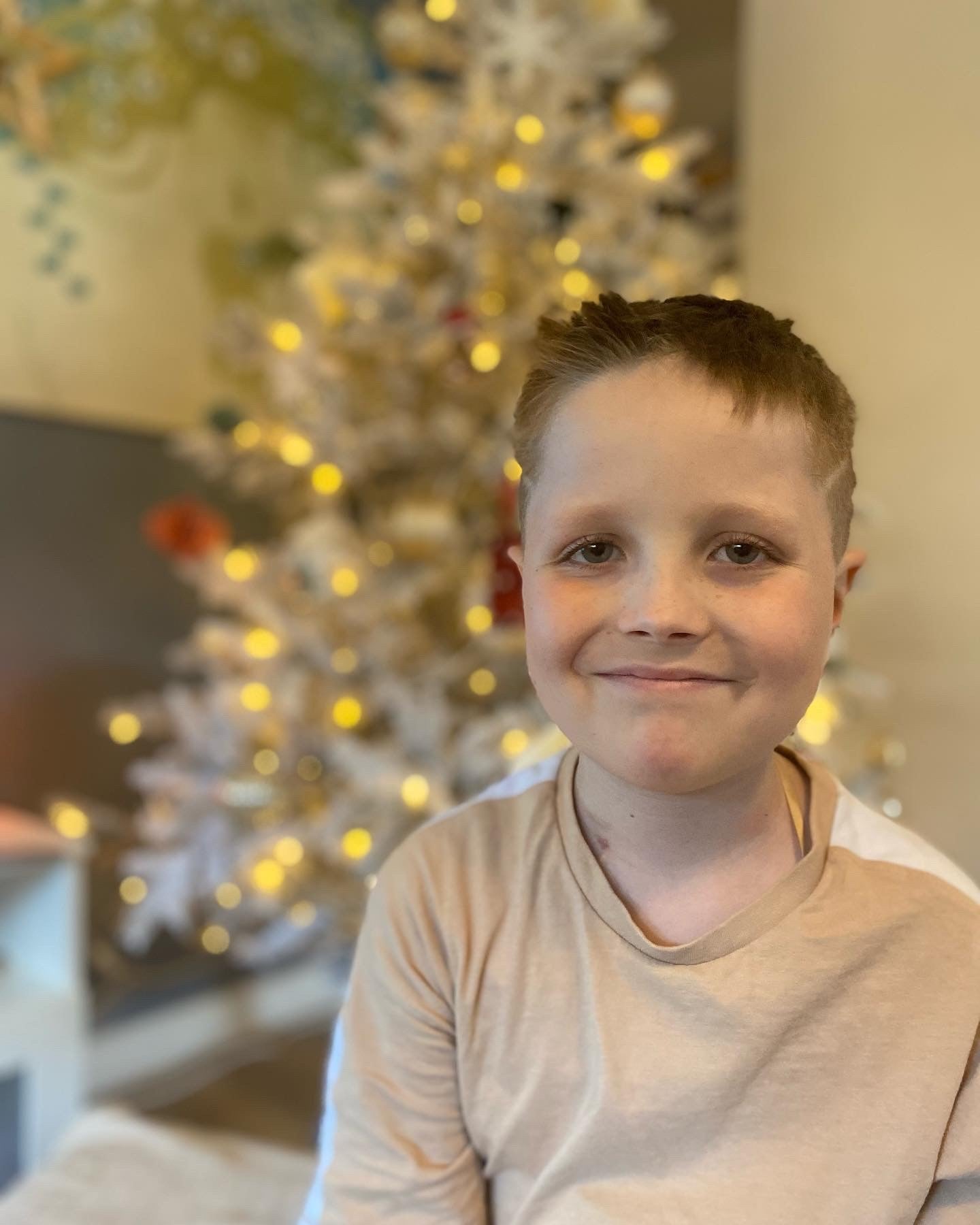 Rufus smiling in front of a Christmas Tree