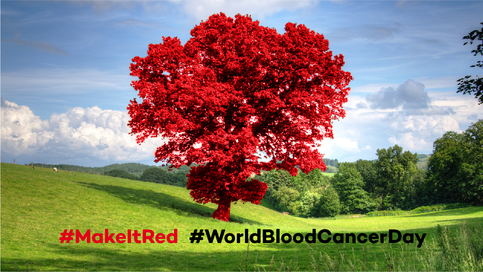 Red tree standing in a green field