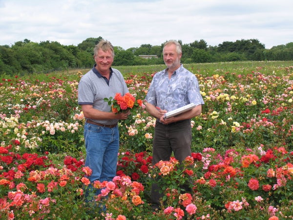 Robert and Philip Harkness in their rose gardens in 2008