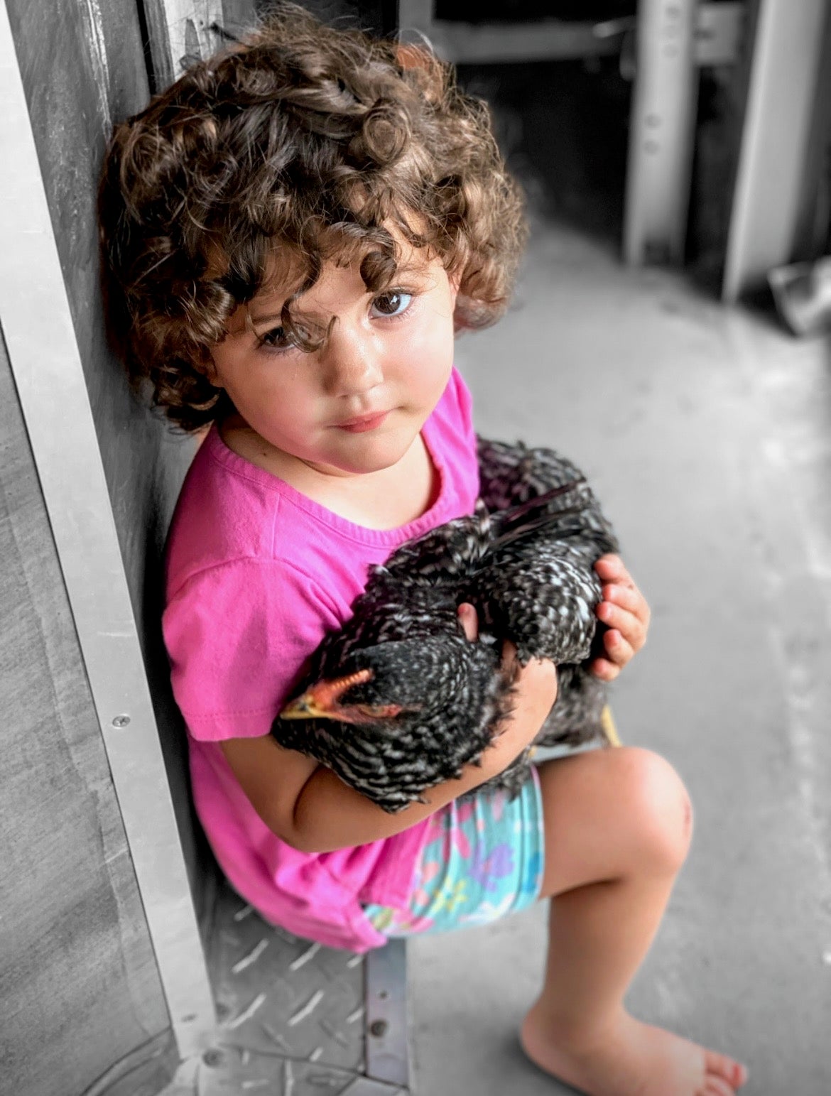 Little girl holding a chicken