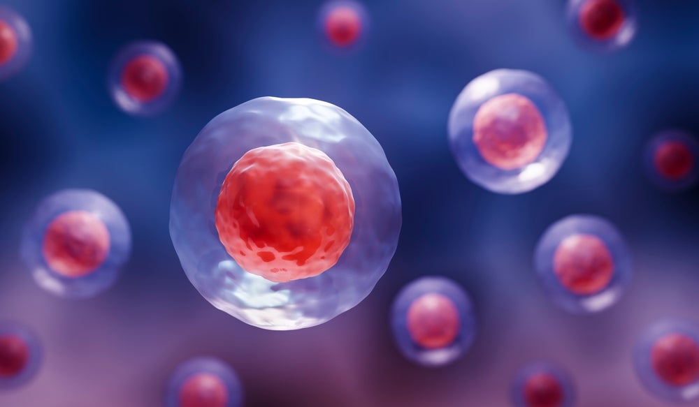 A 3d illustration of stem cells 
