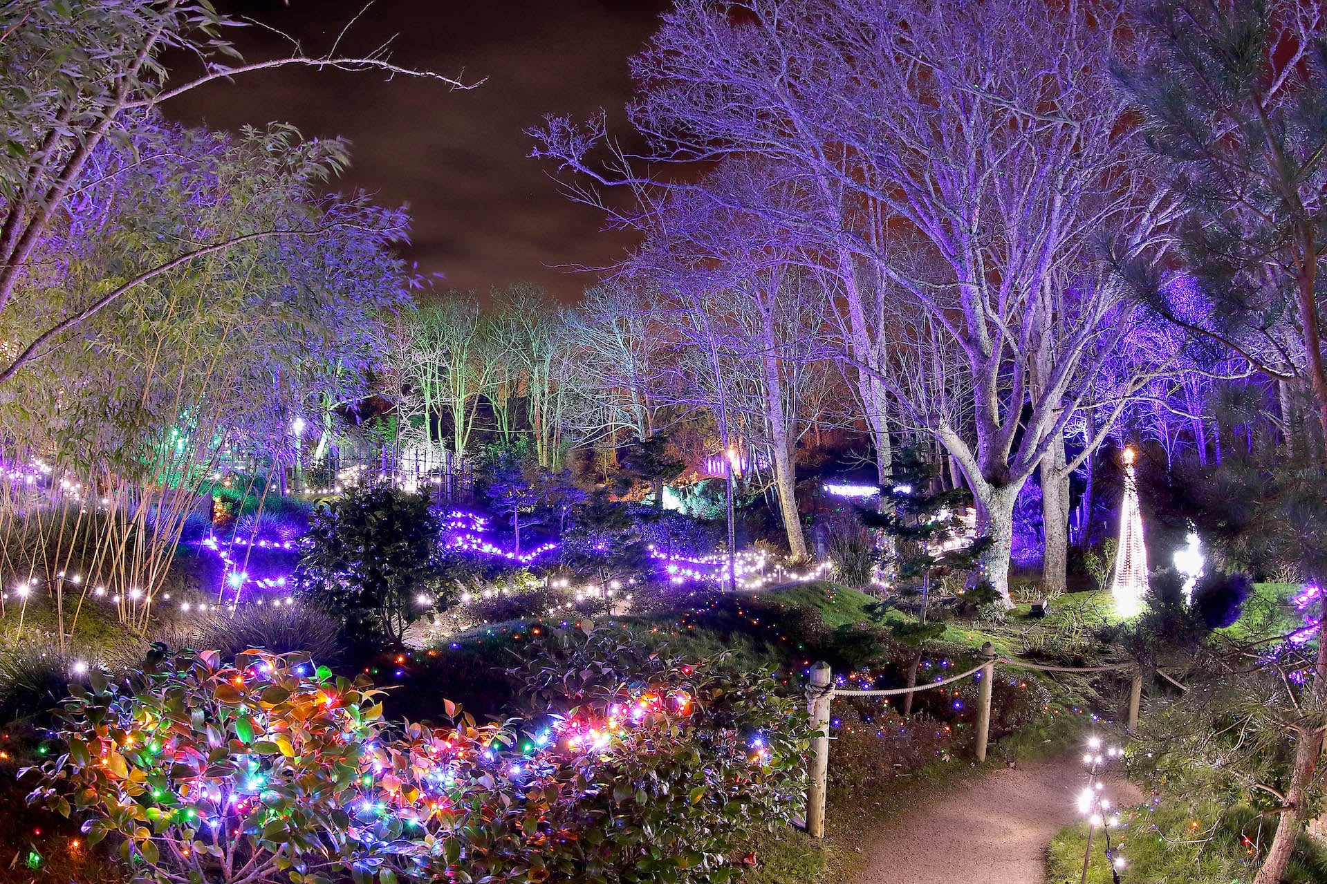 Enchanted Garden Tramore Winter Lights