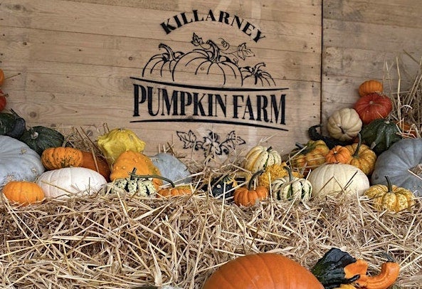 A wooden crate with black logo and various types of pumpkins in straw in the foreground.