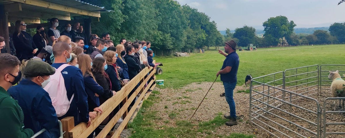 Crowd of onlookers enjoying a sheep herding talk at Irish Working Sheepdogs in Kildare