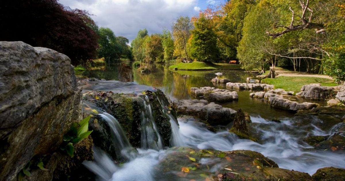 Ireland Discovery Tours. Irish National Stud & Japanese Gardens Tour ...