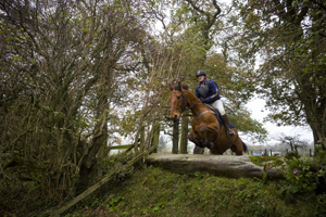 Visit Calliaghstown Equestrian Centre with Discover Ireland