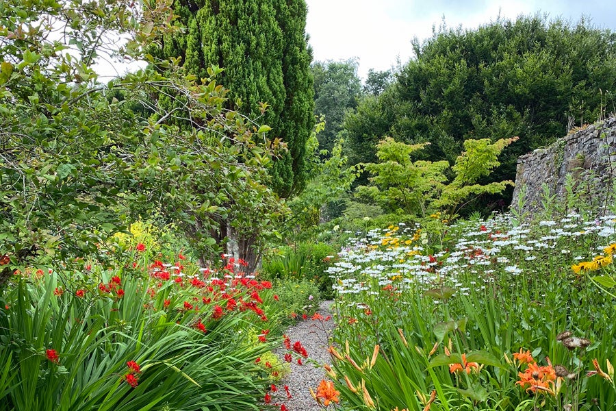 Visit Salthill Garden with Discover Ireland