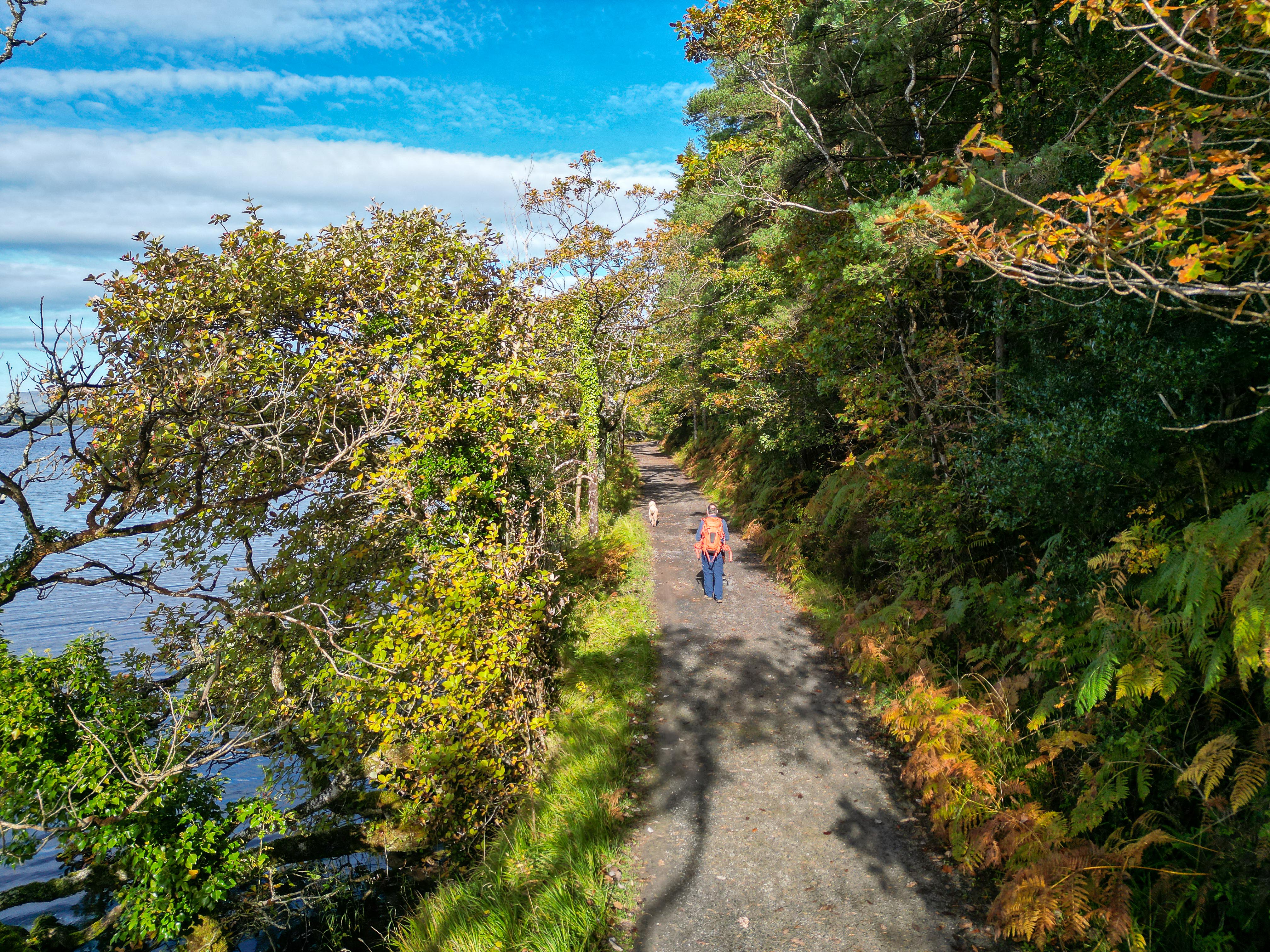 Slish Wood Trail in Sligo.
