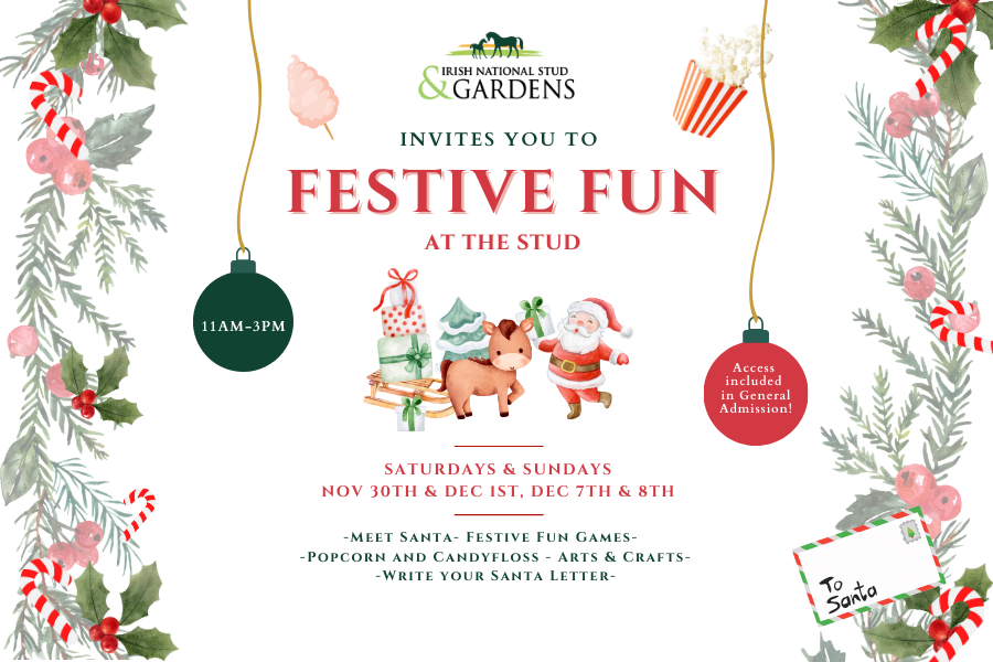 Meet Santa in his cheerful grotto, where he’s ready to chat, share laughs, and check if you're on the Naughty List—expect high-fives, fist bumps, and surprises! Satisfy your sweet tooth with freshly popped popcorn and fluffy candy floss.
