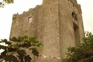 Redwood Castle