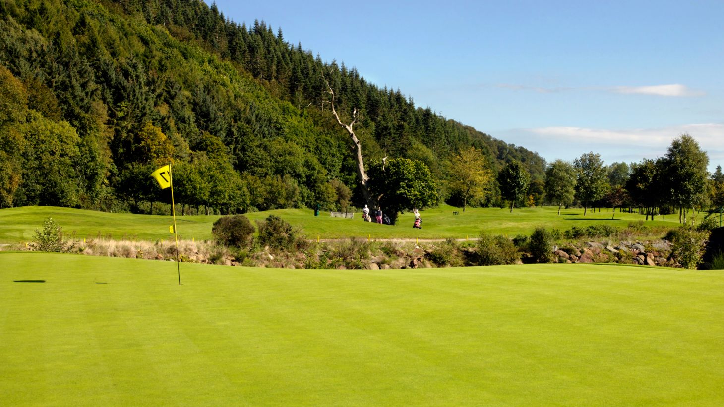 Top 10 Parkland Courses in Ireland with Discover Ireland