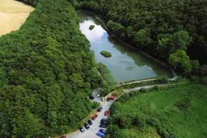 New Ross Coarse Angling Limited
